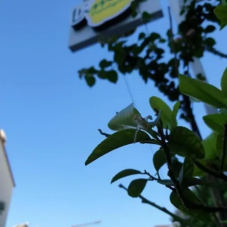 Limon Szálloda Kaş